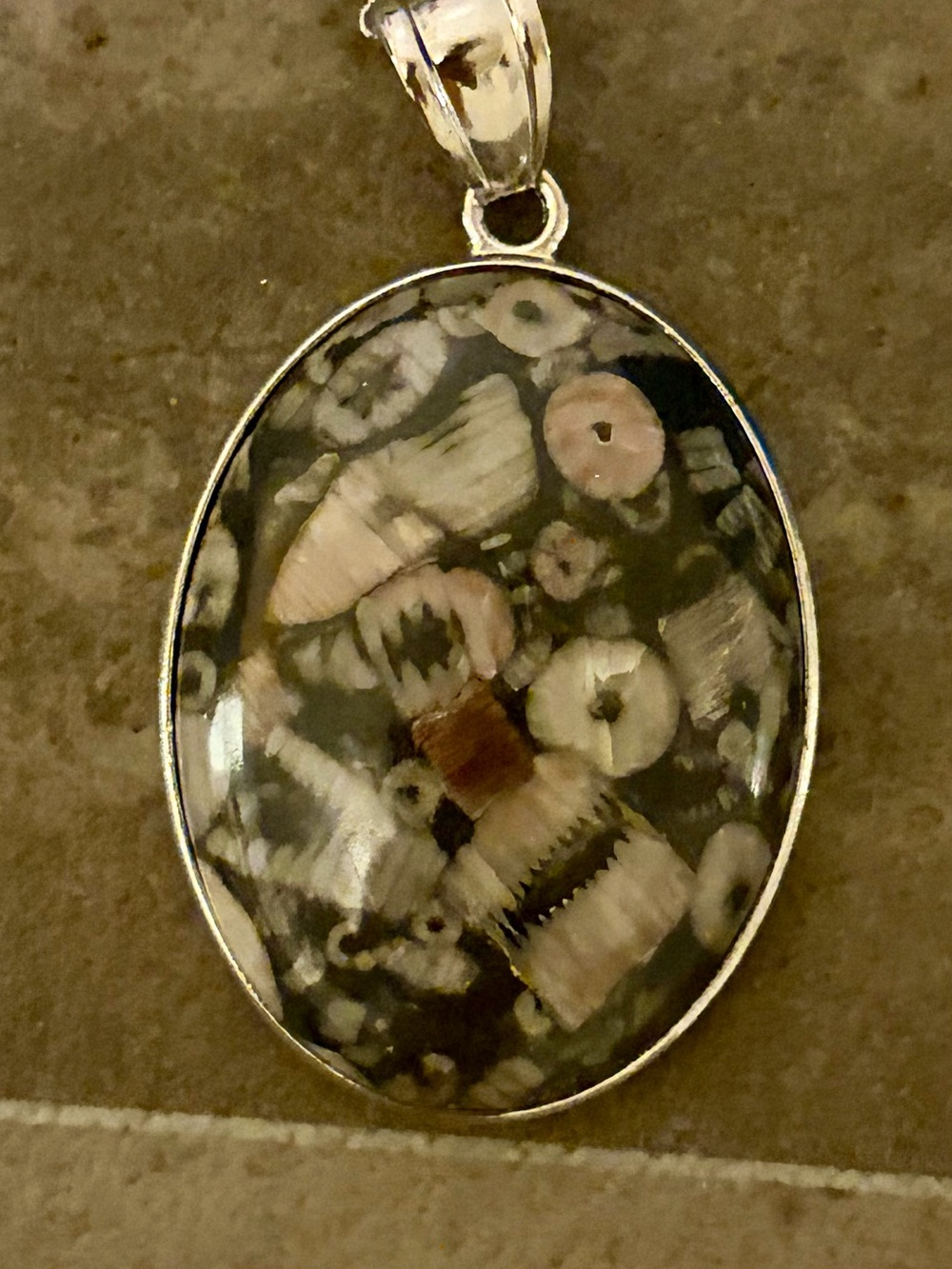 Oval Fossil Coral Pendant Necklace in Black and Cream